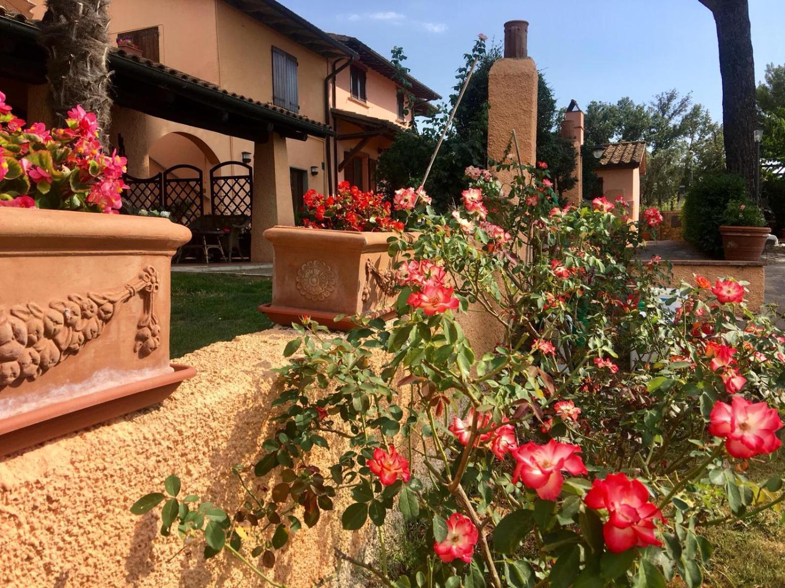 Agriturismo Terranera Scansano Bagian luar foto