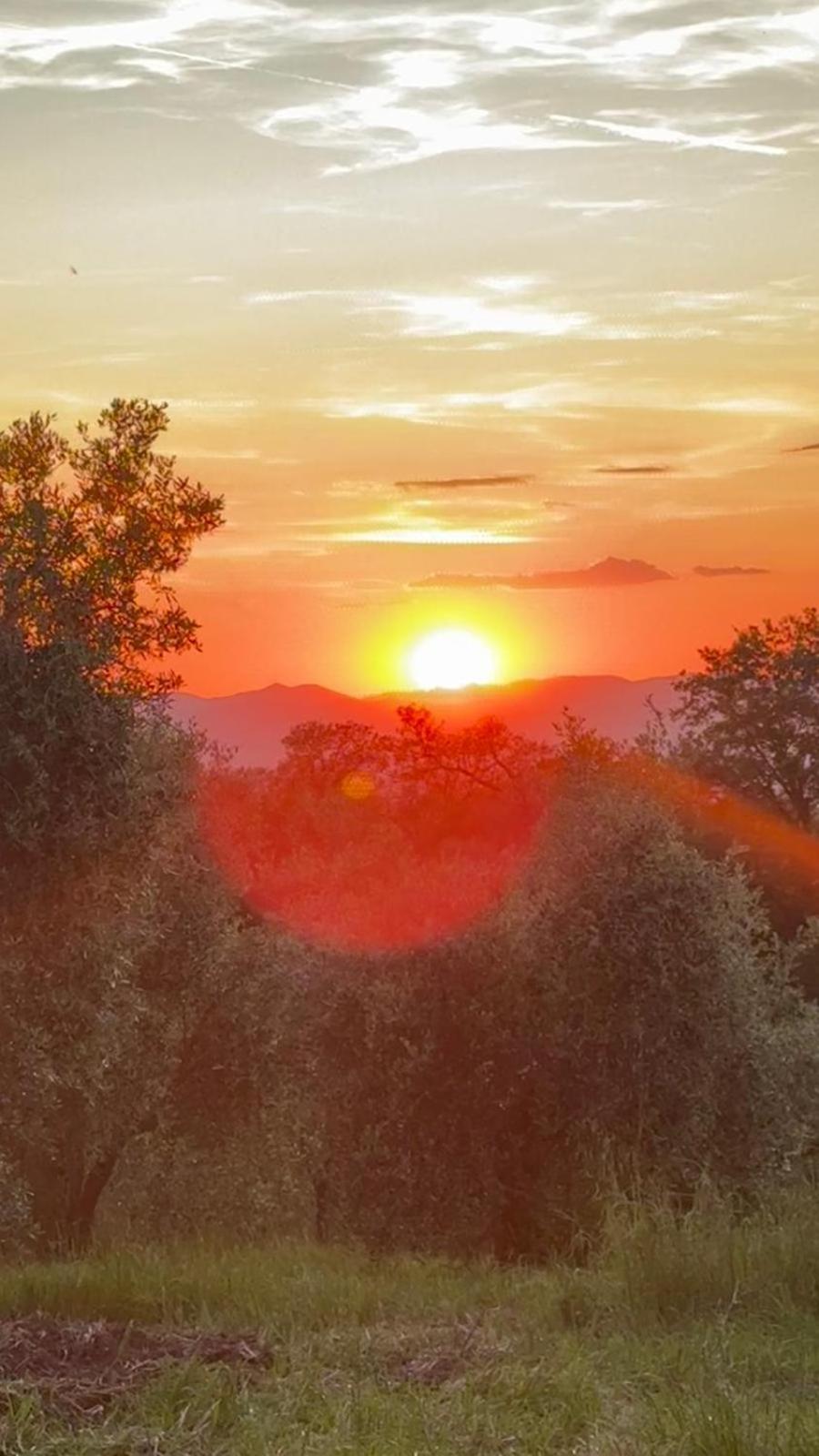 Agriturismo Terranera Scansano Bagian luar foto