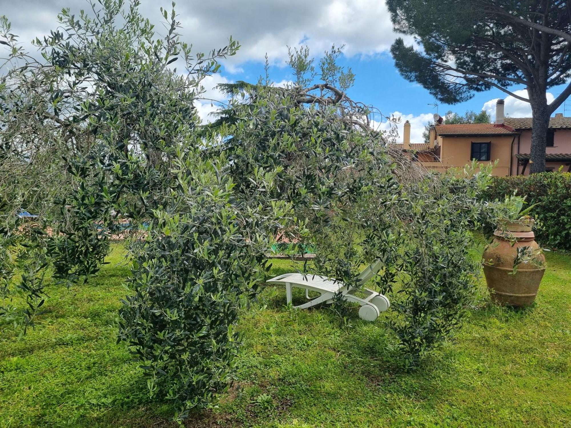 Agriturismo Terranera Scansano Bagian luar foto