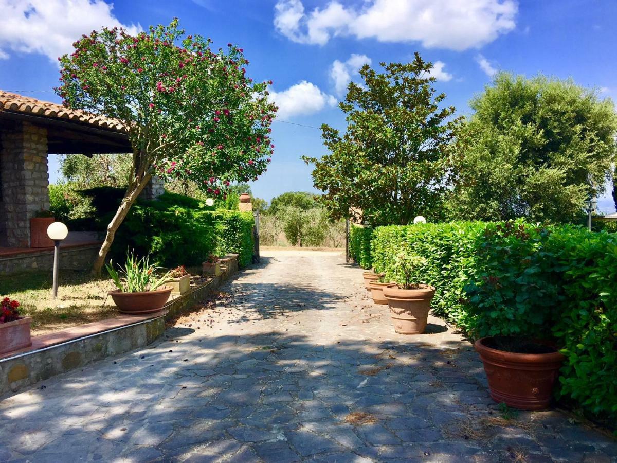 Agriturismo Terranera Scansano Bagian luar foto