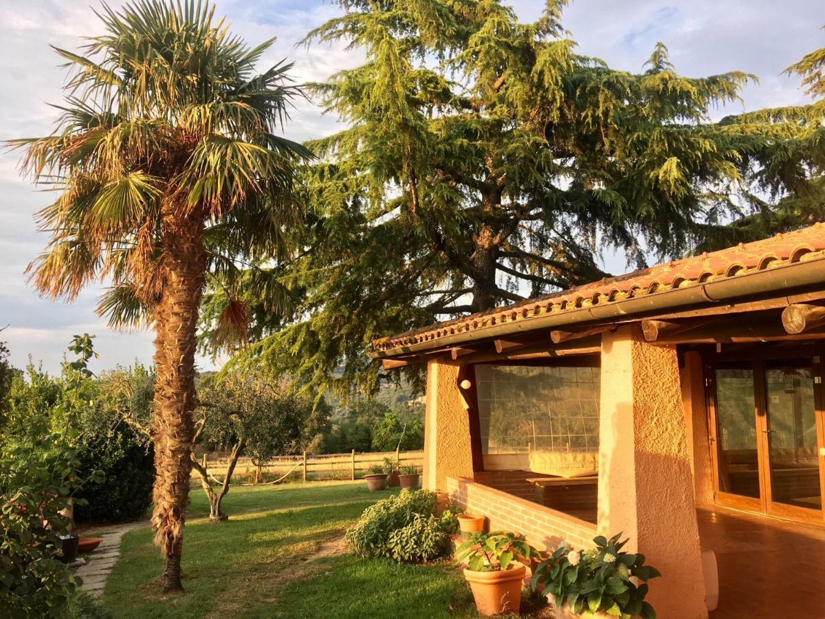 Agriturismo Terranera Scansano Bagian luar foto